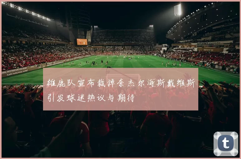 雄鹿队宣布裁掉奈杰尔海斯戴维斯引发球迷热议与期待